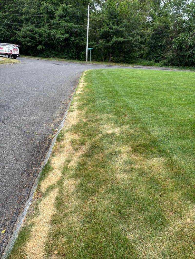 Sending Freshly Cut Grass Into Survival Mode