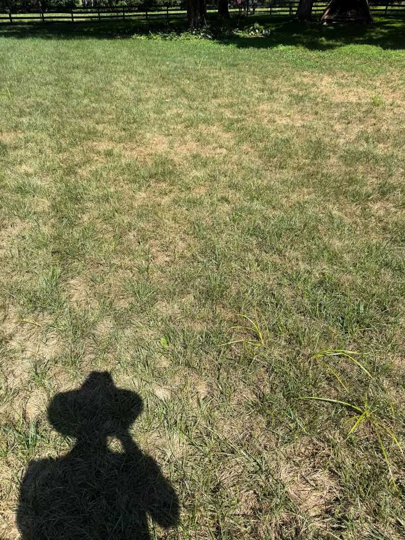 Separate Drought Stress From Root Trouble