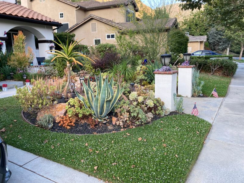 Separate High-Water And Drought-Tolerant Zones Separate High-Water And Drought-Tolerant Zones