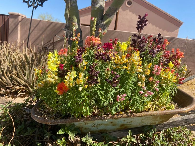 September Is A Good Time To Start Planting