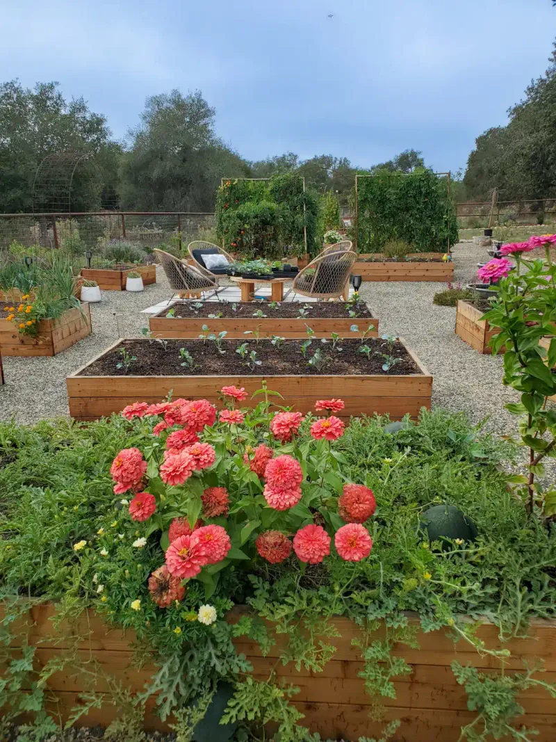 September Is Ideal For Preparing Spring Beds