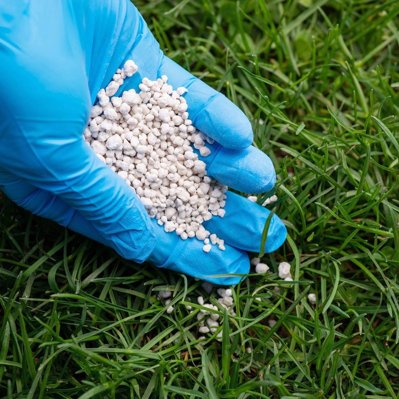 September Is Not The Time For Heavy Feeding September Is Not The Time For Heavy Feeding