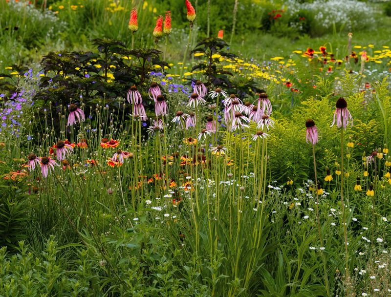 September Planting Still Needs An Establishment Plan September Planting Still Needs An Establishment Plan