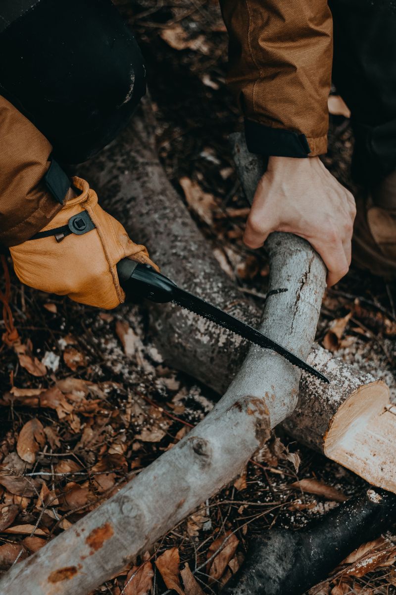 Sever Visible Roots With A Sharp Saw Sever Visible Roots With A Sharp Saw