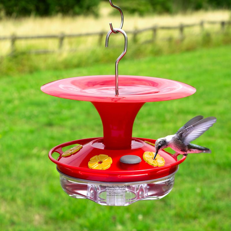 Several Feeding Spots Stop One Bird From Owning The Whole Yard