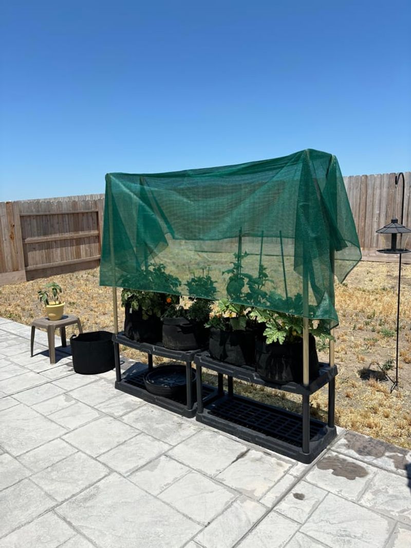 Shade And Placement Fixes That Help Fast