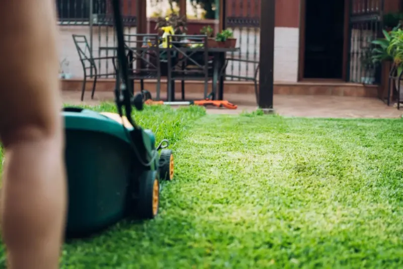 Sharp Blades Prevent Hidden Summer Damage Sharp Blades Prevent Hidden Summer Damage