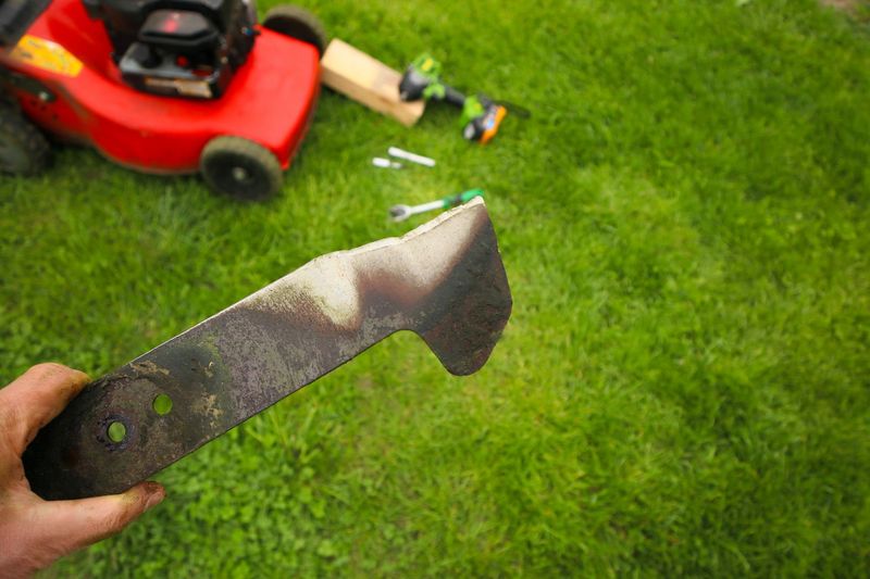 Sharp Mower Blades Make Cleaner Cuts Sharp Mower Blades Make Cleaner Cuts