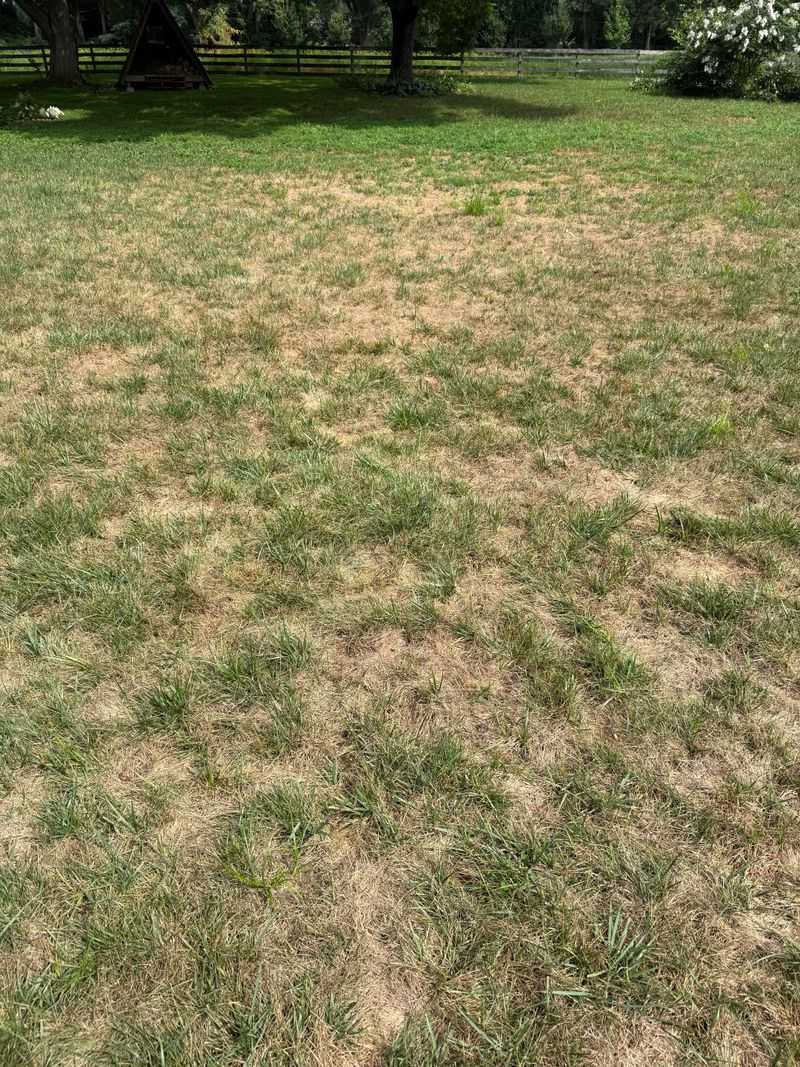 Sharp Mower Blades Matter More During Summer Stress