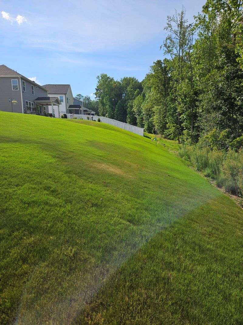 Short Mowing Leaves Roots Struggling Below Short Mowing Leaves Roots Struggling Below