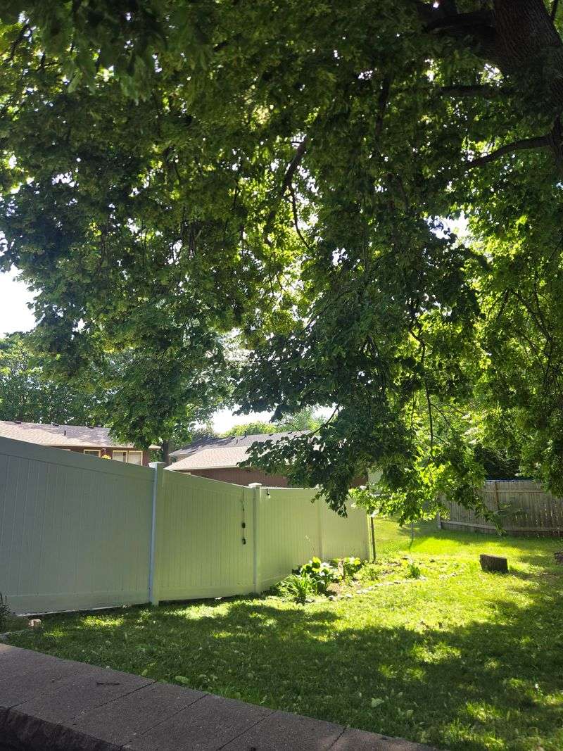Shortening Long Branches Without Butchering The Tree