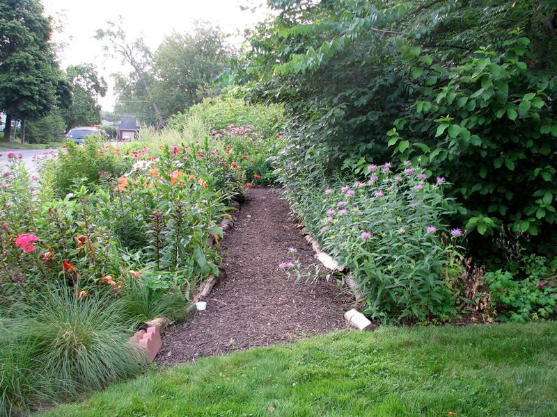 Shrubs and Sheltered Edges Create Usable Habitat Shrubs and Sheltered Edges Create Usable Habitat
