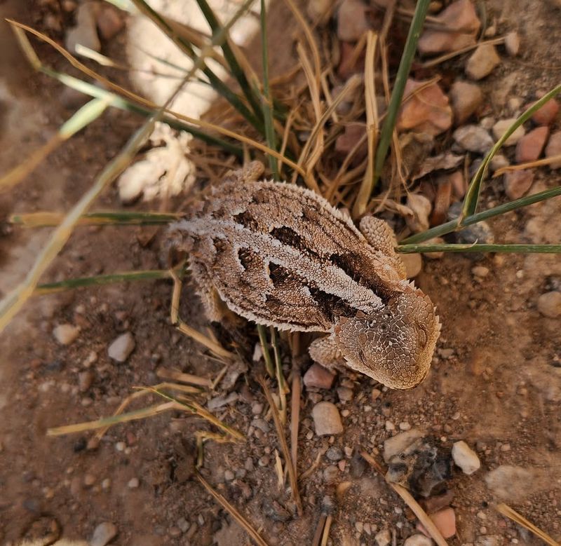 Sightings Are More Common During Warm Weather