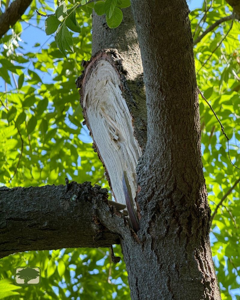 Signs Of Weak Attachment Worth Looking For From The Ground