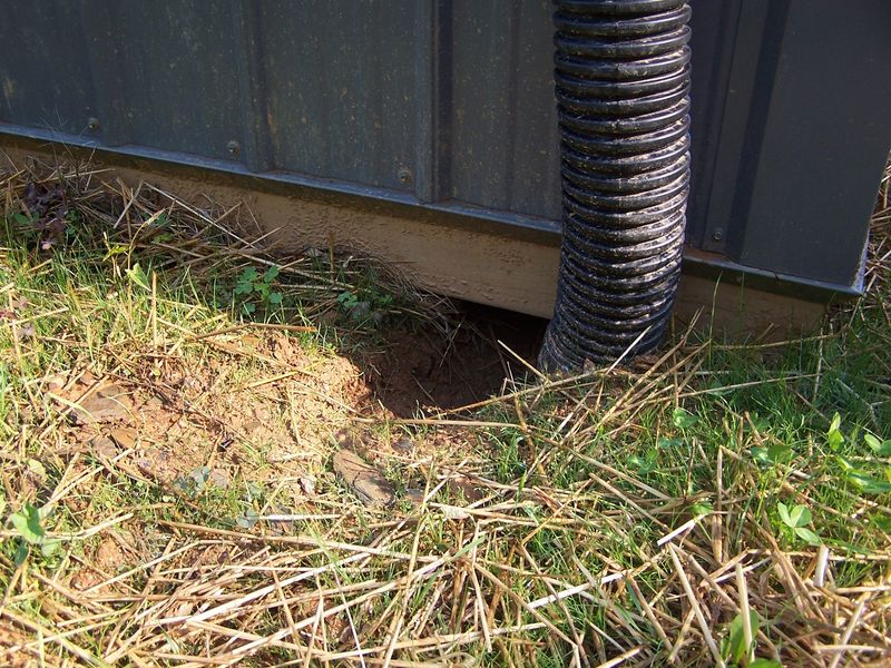 Signs Point To An Established Den