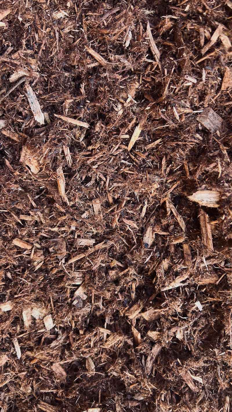 Signs Your Bark Dust Has Broken Down