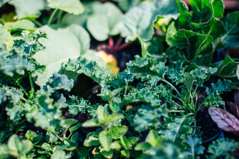 Signs Your Garden Has A Healthy Population