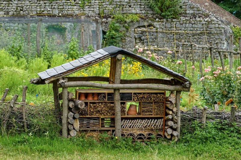 Signs Your Garden Offers Safe Shelter And Food Signs Your Garden Offers Safe Shelter And Food