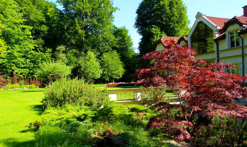 Signs Your Landscaping May Already Have It Signs Your Landscaping May Already Have It
