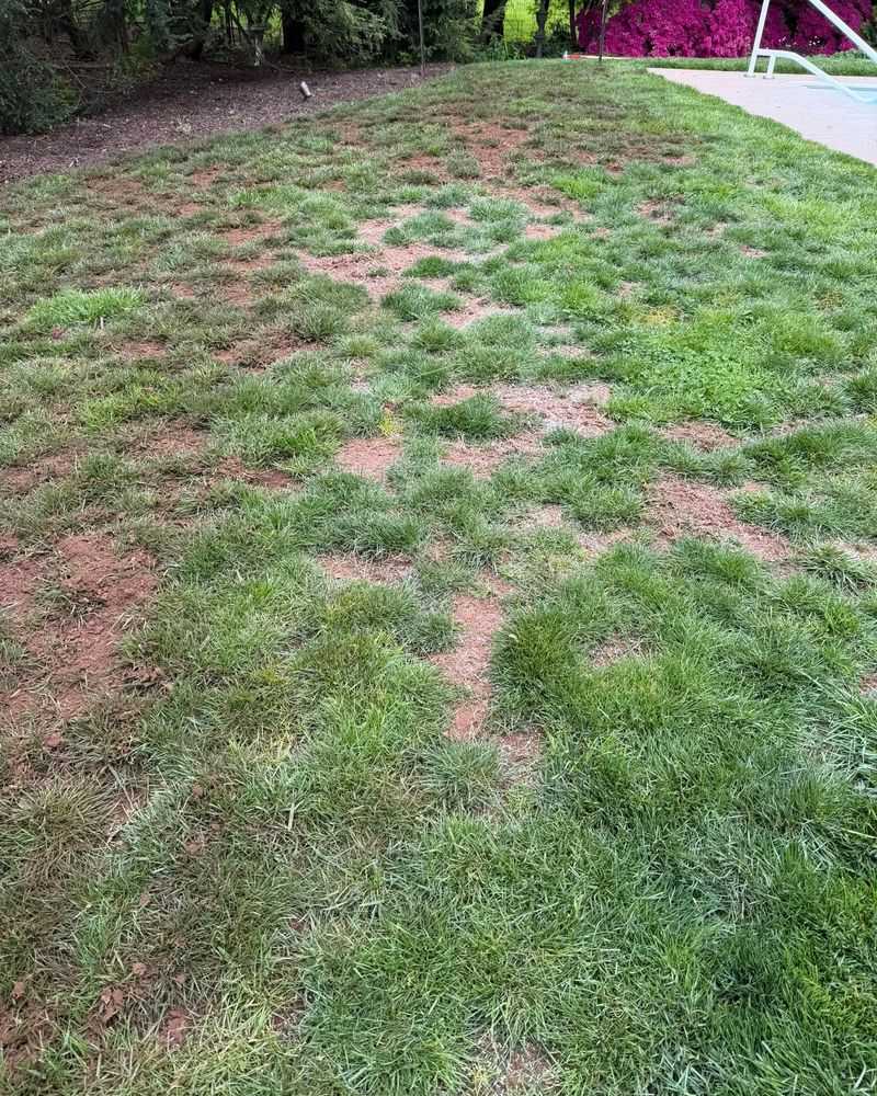 Signs Your Lawn Is Getting Too Much Coverage Signs Your Lawn Is Getting Too Much Coverage
