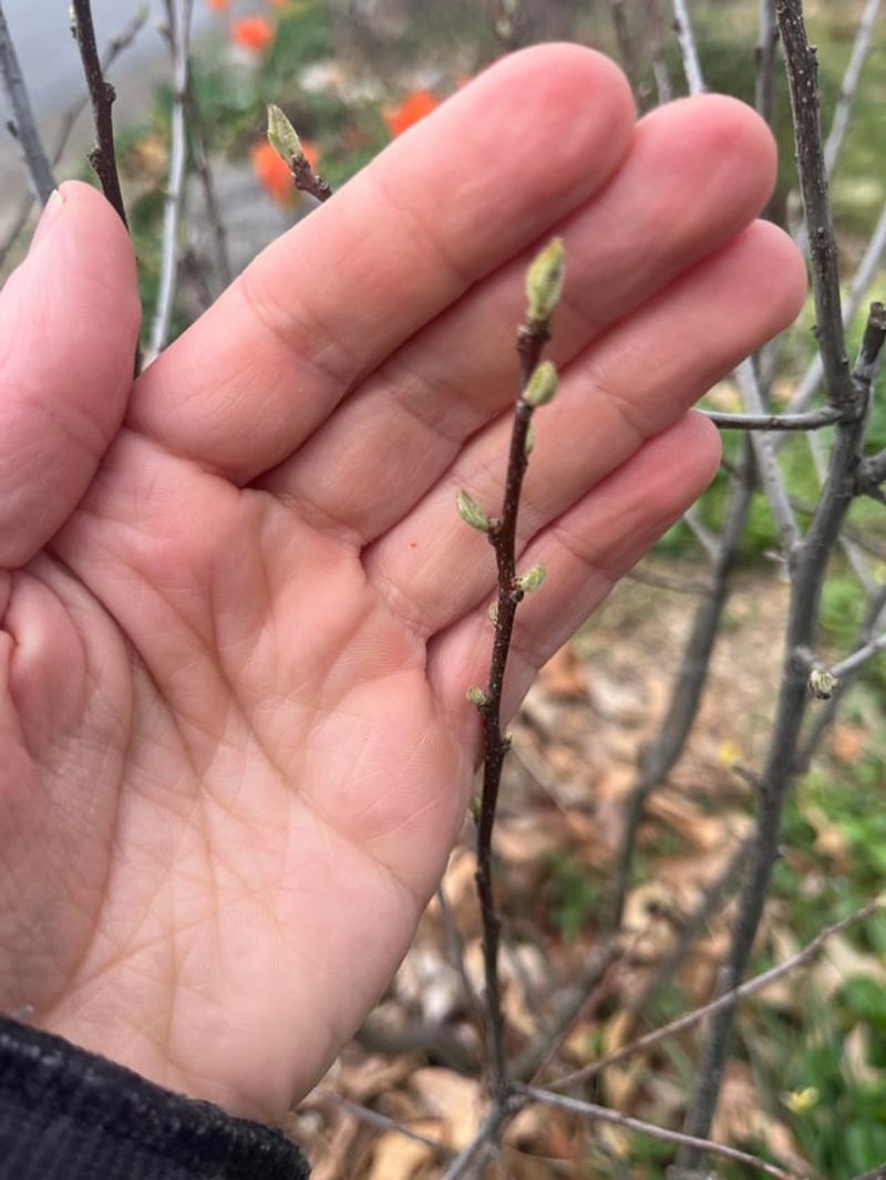 Signs Your Plants Are Recovering Versus Struggling Signs Your Plants Are Recovering Versus Struggling