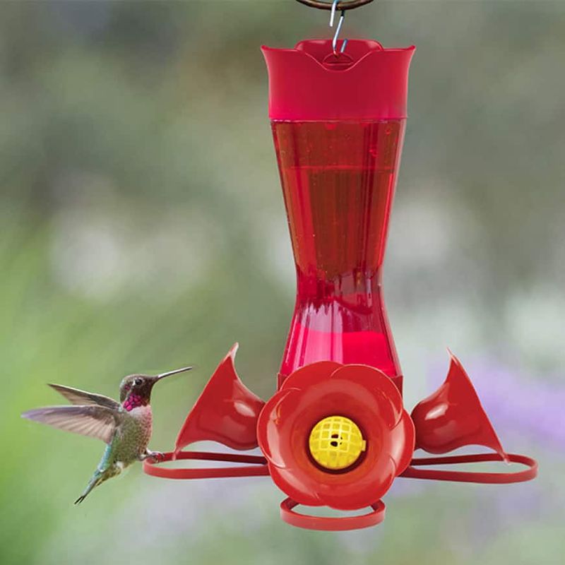 Signs Your Yard Has Become A Rest Stop For Migrating Birds