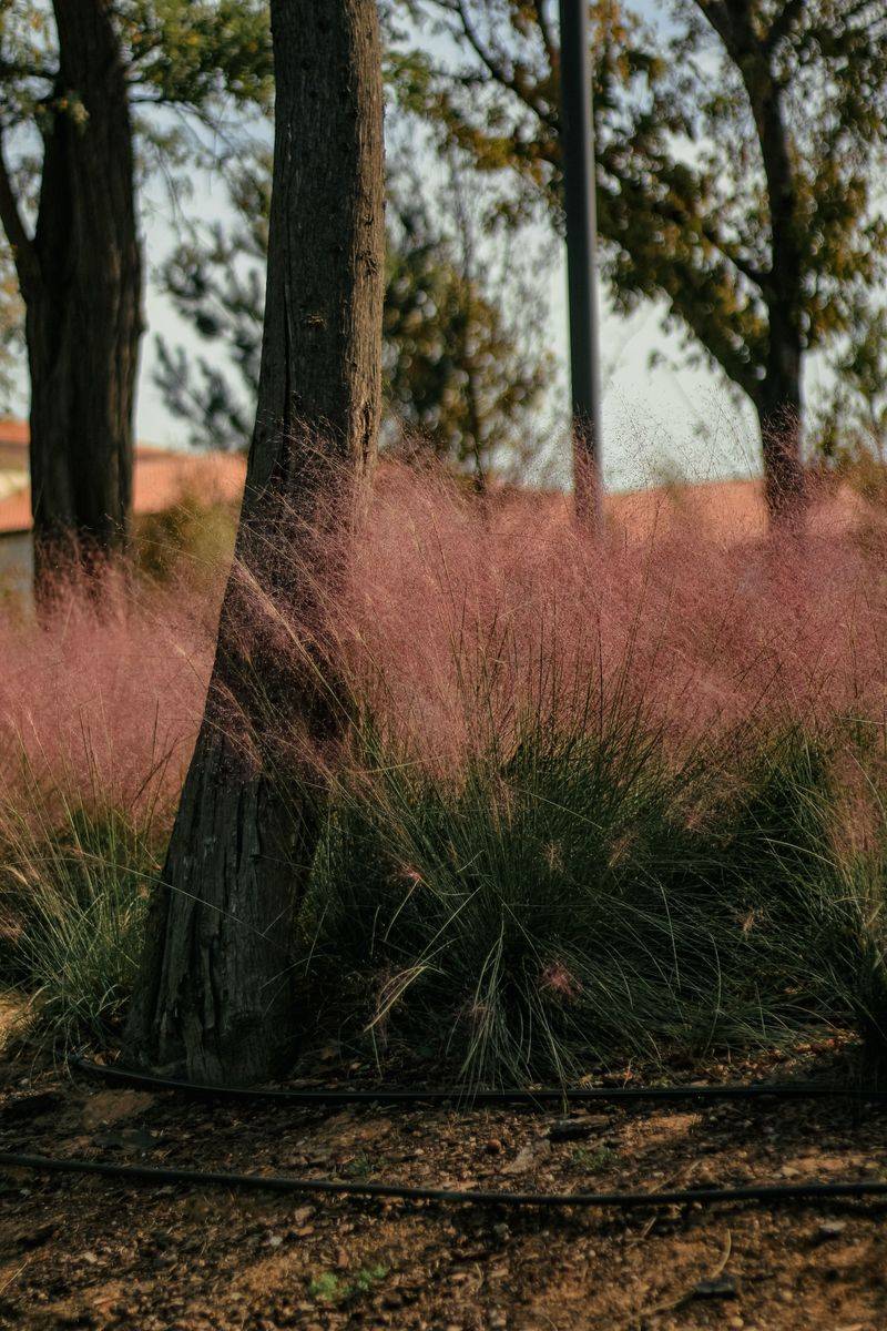 Simple Care Steps Keep Curb Beds Looking Full Each Fall