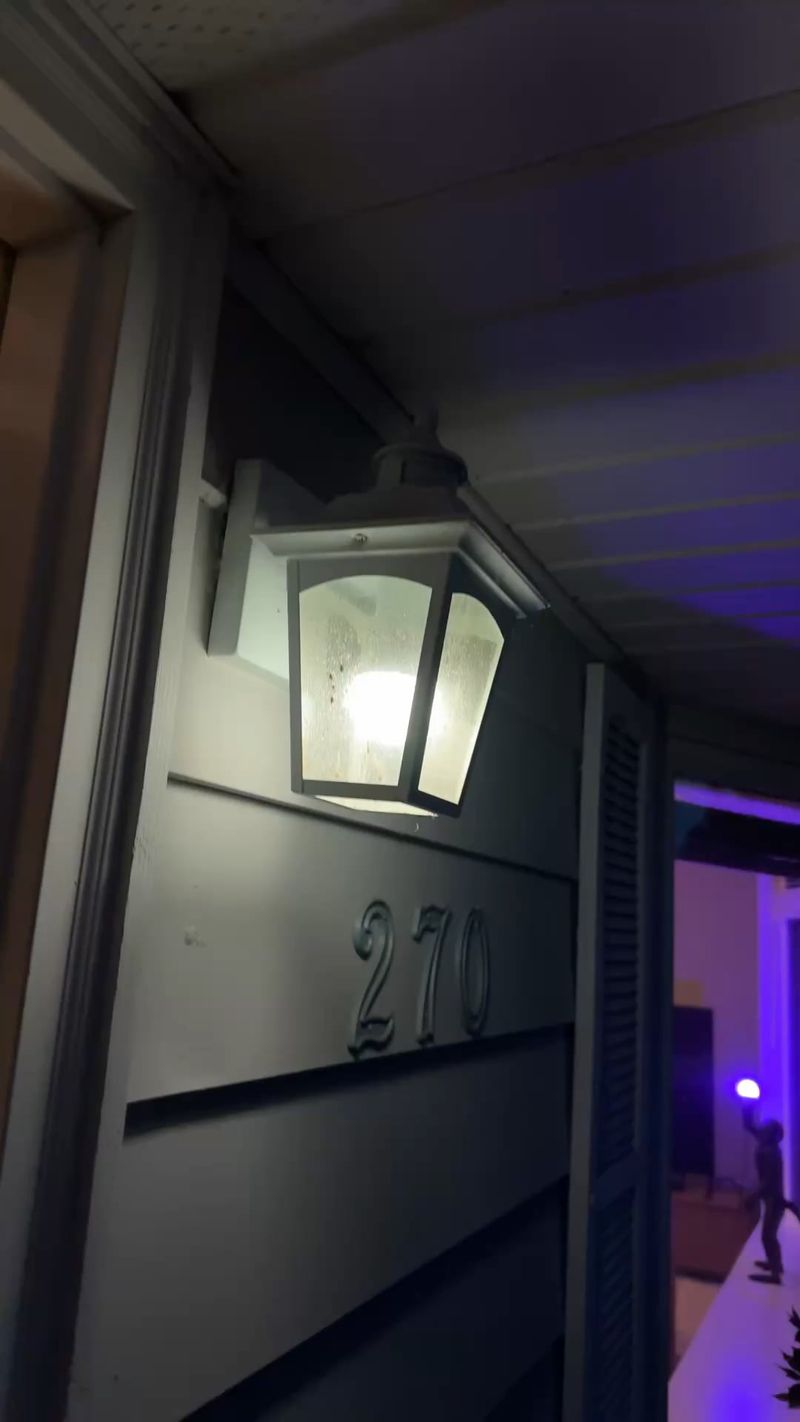 Simple Lighting Swaps Reduce Wasp Traffic Simple Lighting Swaps Reduce Wasp Traffic