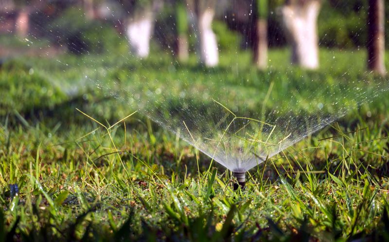 Simple Watering Habits That Protect Dormant Grass