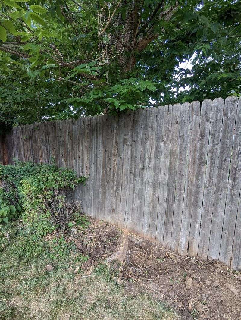 Situations Where A Neighbor Can Take Action Situations Where A Neighbor Can Take Action