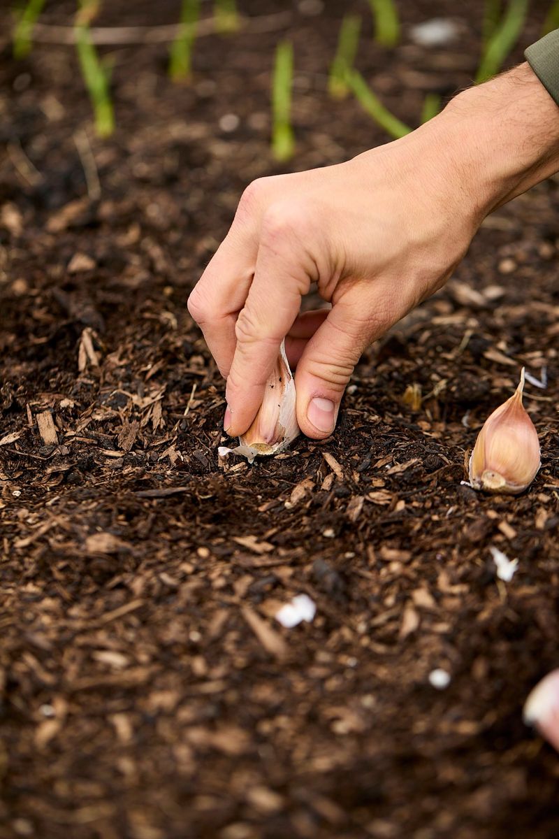 Skipping A Soil Test Before Planting