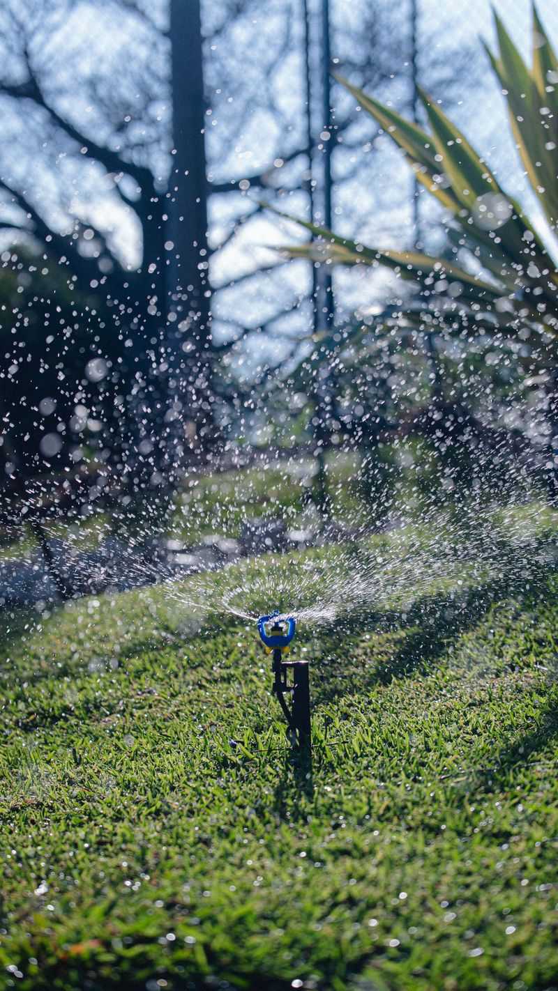 Skipping Irrigation Checks During Dry Spells Skipping Irrigation Checks During Dry Spells