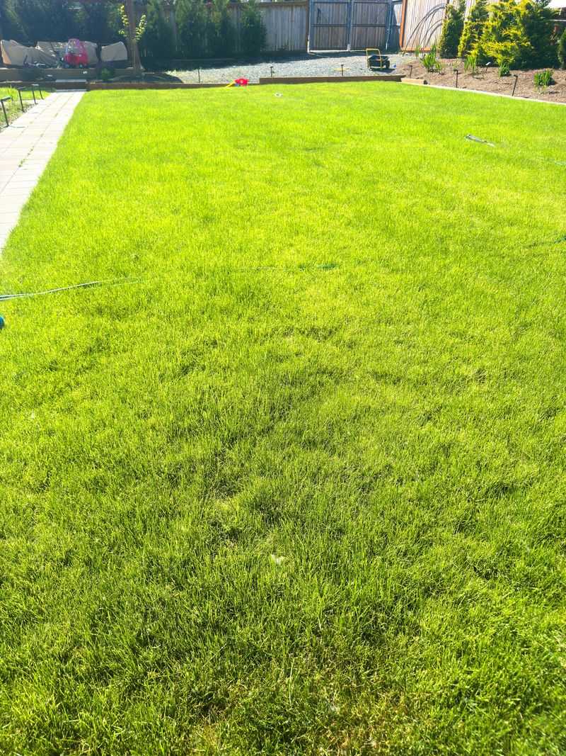 Slow-Release Nitrogen Is The Smarter Choice Slow-Release Nitrogen Is The Smarter Choice