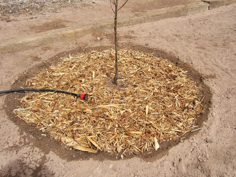 Slow Soaking Helps Limit Surface Runoff