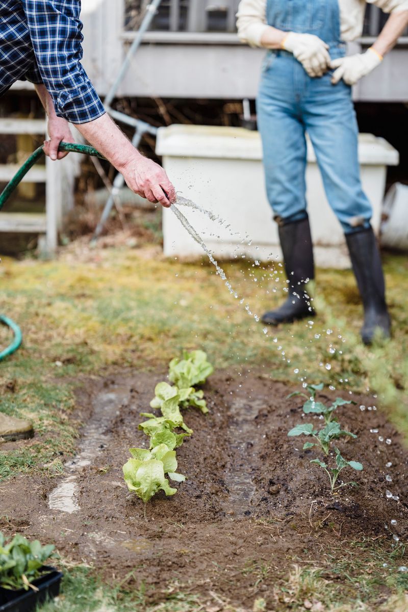Slow Soaking Sessions Let Water Reach Deeper Soil Layers