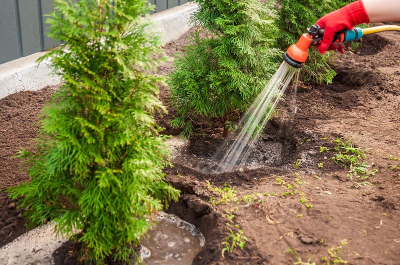 Slow Watering Gives Moisture Time To Reach The Roots