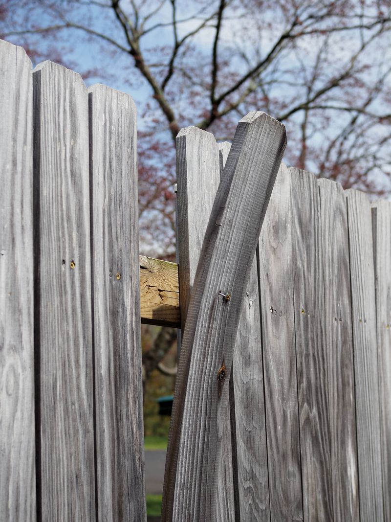 Small Gaps In Fencing Make The Problem Worse Over Time Small Gaps In Fencing Make The Problem Worse Over Time