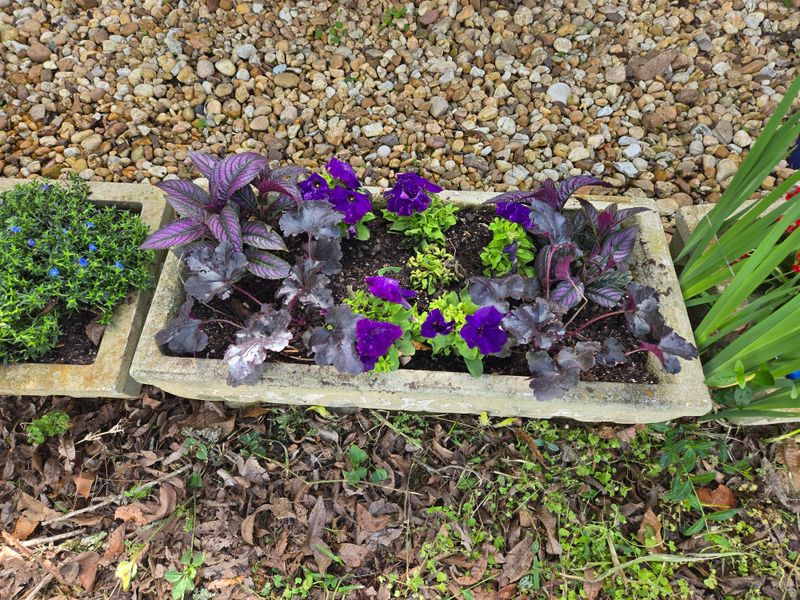Small Spring Plants Can Become Packed By Summer Small Spring Plants Can Become Packed By Summer