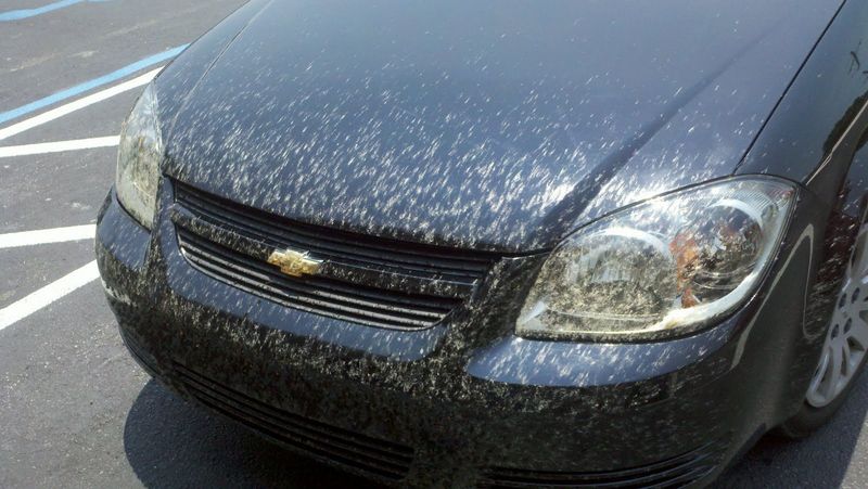 Small Steps That Limit Damage To Your Car And Home