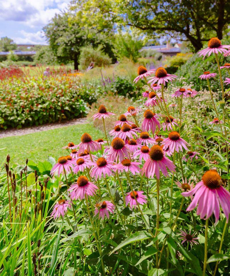 Smart Feeding Supports Healthy Flowers Smart Feeding Supports Healthy Flowers