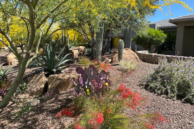 Smart Nursery Choices Give Fall Planting A Better Start