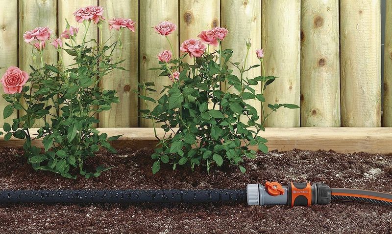 Soak The Soil Without Wetting The Leaves Soak The Soil Without Wetting The Leaves