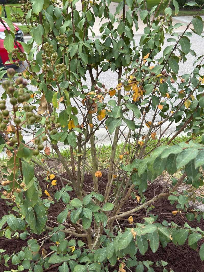 Soggy Roots Can Cause Trouble From The Other Direction
