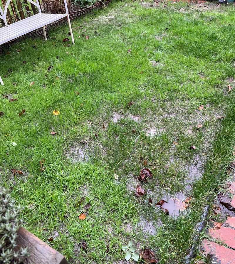 Soggy Soil Increases Compaction From Mower Weight