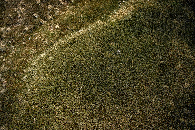 Soil Compaction And Its Role In Lawn Decline Soil Compaction And Its Role In Lawn Decline