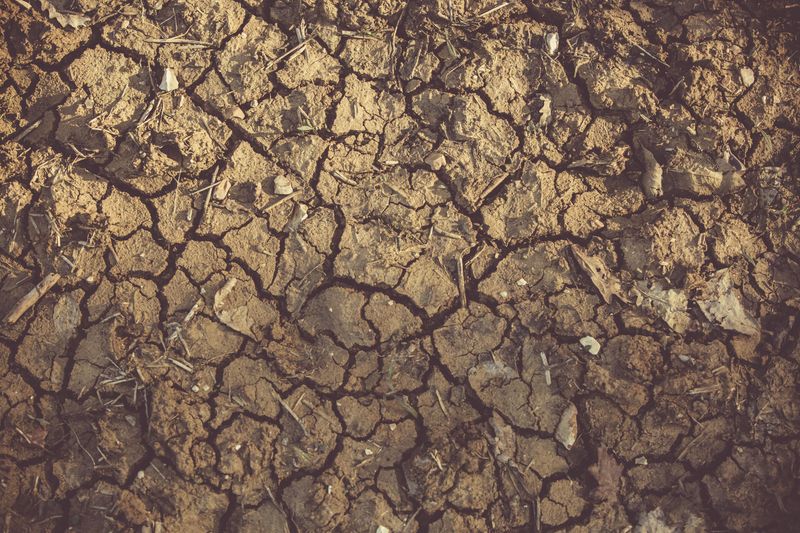 Soil Dries Out Faster Than Expected Soil Dries Out Faster Than Expected
