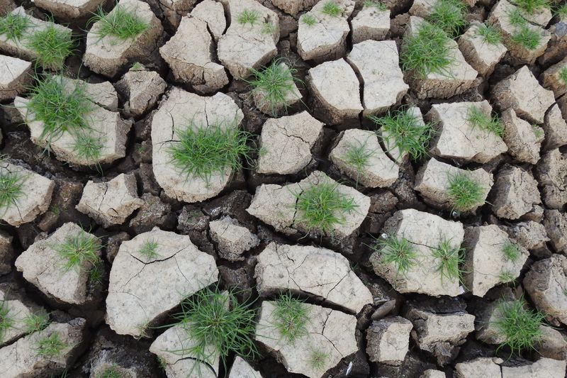 Soil Dries Out Faster Than Expected Soil Dries Out Faster Than Expected