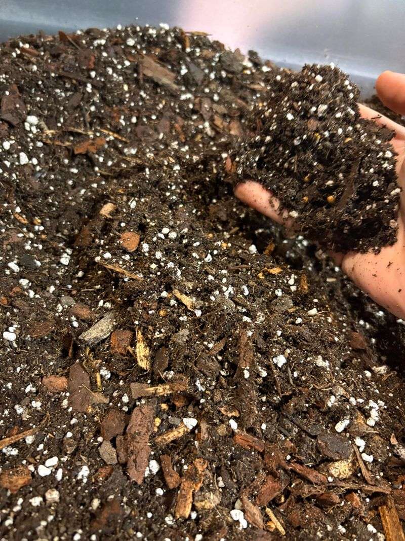 Soil Mixes That Support Continuous Flowering