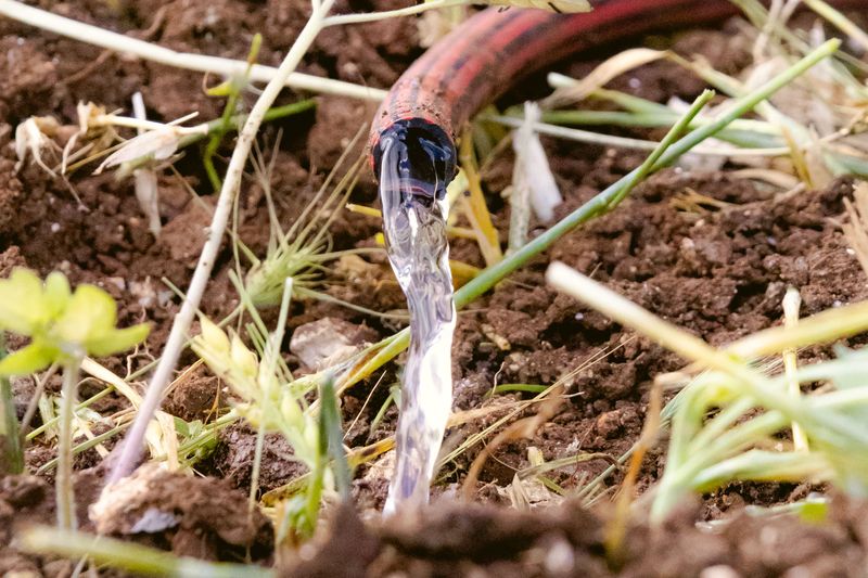 Soil Moisture Runs Deeper Than It Looks