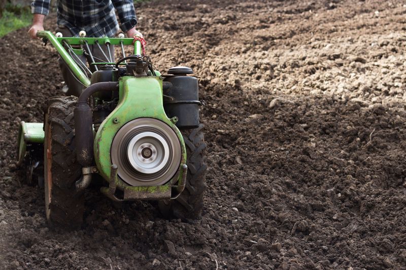 Soil Preparation Steps That Set Your Renovation Up For Success